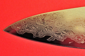 Close-up tip YAXELL YO-U 69 layers Damas Damascus Petit knife 120mm